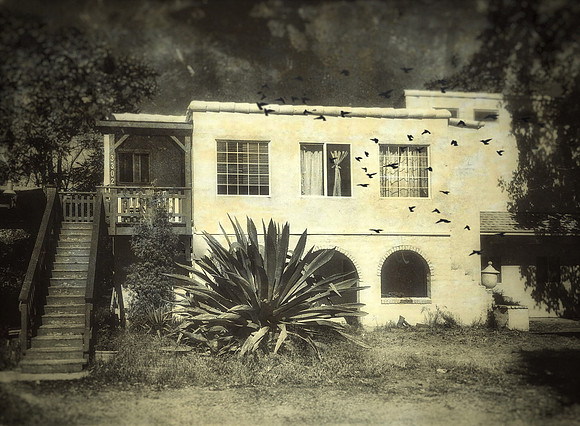 Old Cottonwood Apartments