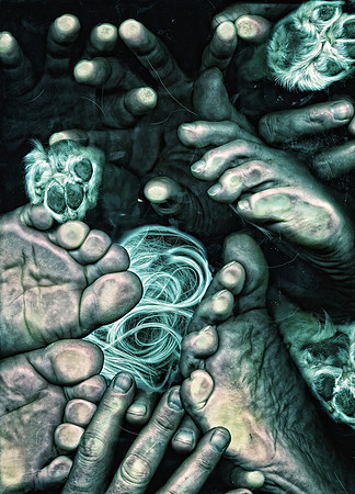 Hand & Foot