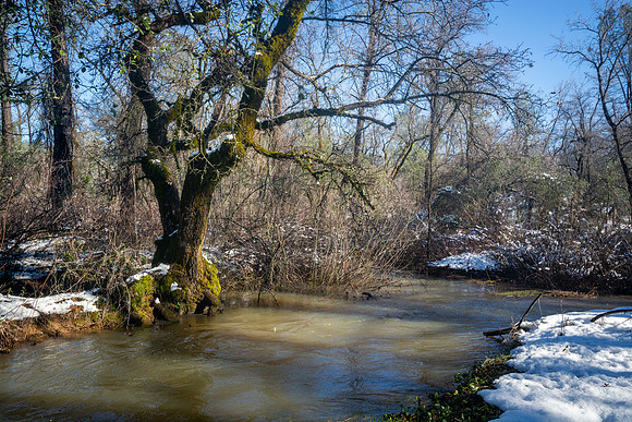 Churn Creek Greenway
