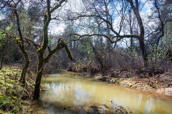 Churn Creek Greenway