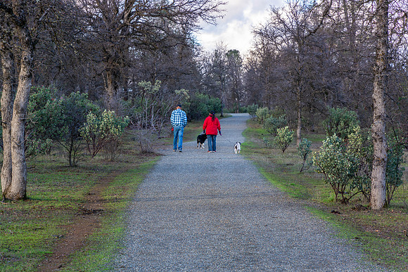 Churn Creek Greenway