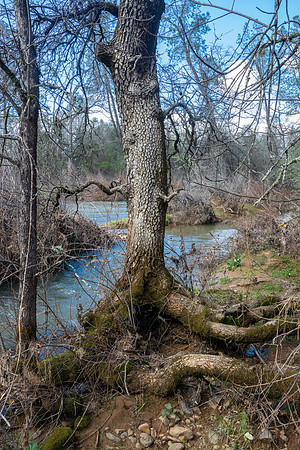 Churn Creek Greenway
