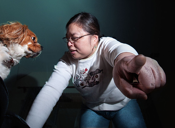 Plexiglass