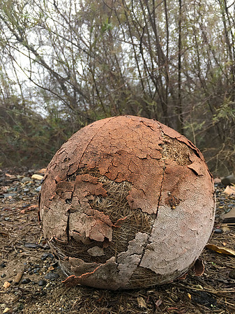 Old Basketball.