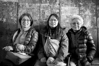 Chows Feb 2017